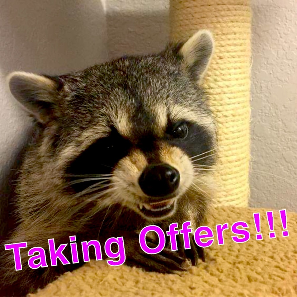 Taking reasonable offers!!